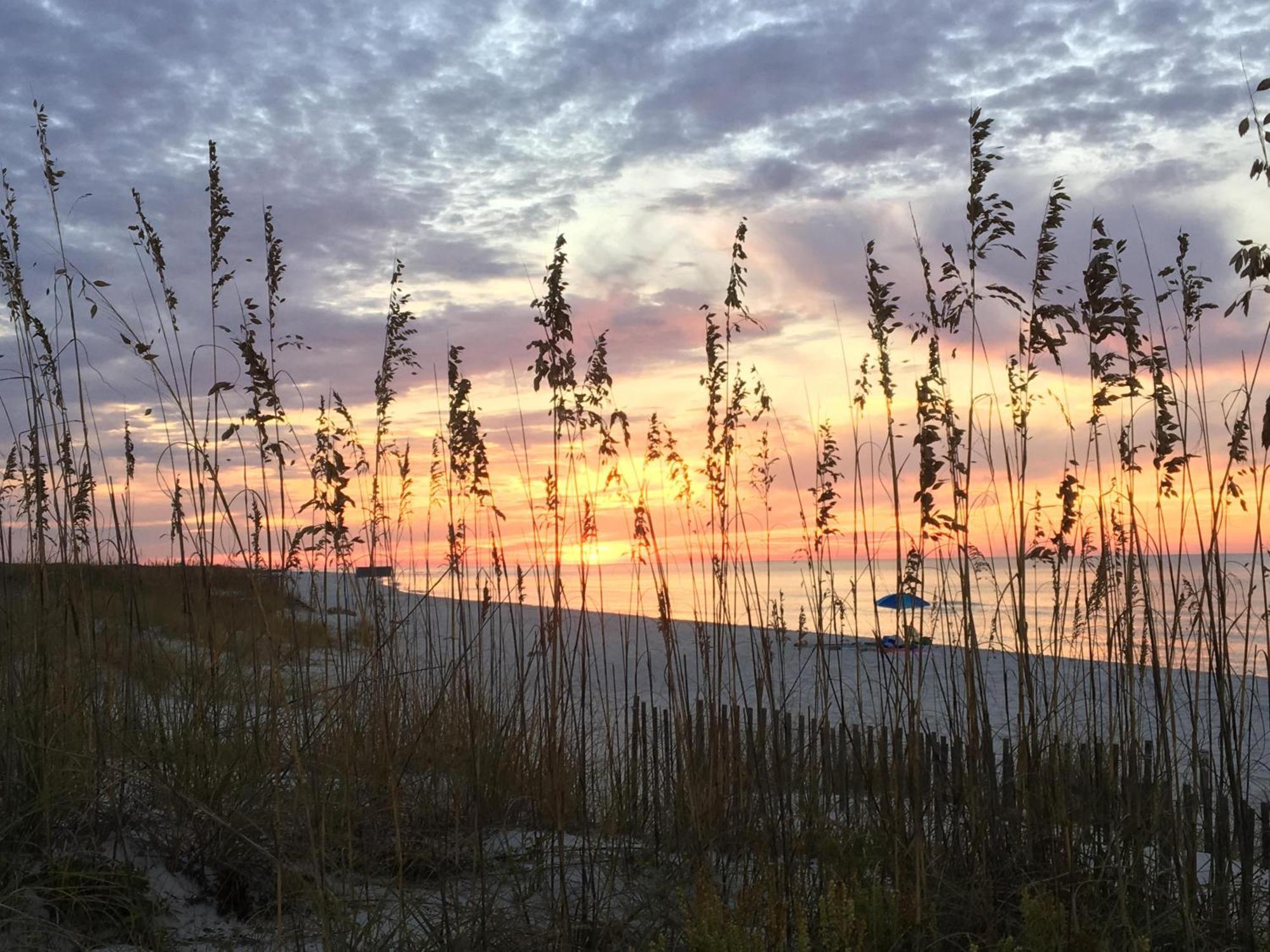 Seahorse 512 Villa Gulf Shores Dış mekan fotoğraf